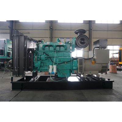 200kw重慶康明斯柴油發電機組-重慶康明斯6缸柴油機NTA855-G1柴油發電機組,缸徑/行程：140/152mm,柴油發電機組水冷發動機功率265KW,柴油發電機組配套馬拉松斯坦福發電機。廠價直銷歡迎選購：13773399855。